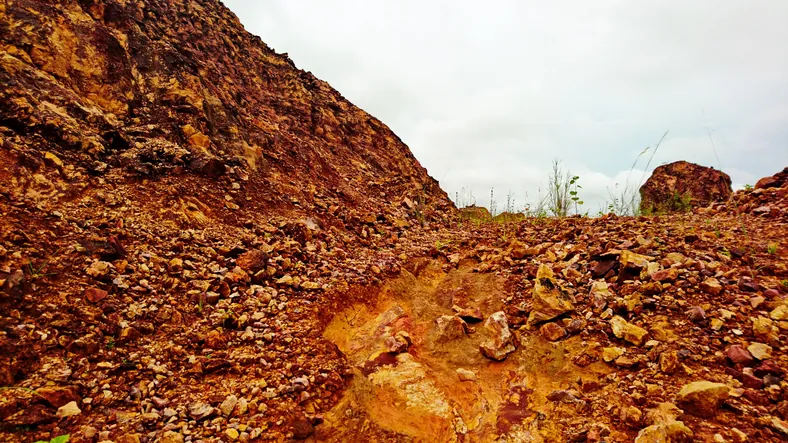 Buyer Mandate: High-Volume Gold Dumps Wanted